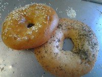 Pâte à Bagel (salé)